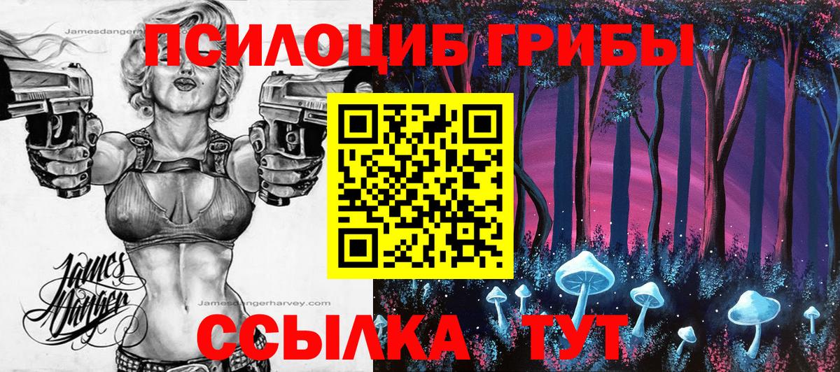 Азов  Псилоцибиновые грибы мухоморы  Вход с VPN  Псилоцибиновые грибы мухоморы 